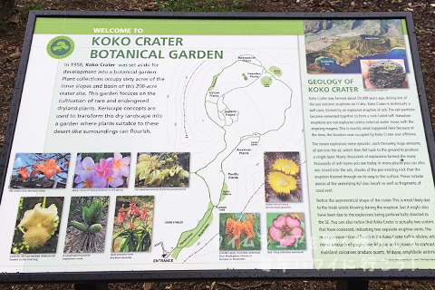 ココ・クレーター植物園の案内図