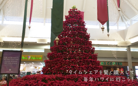 カハラモール・クリスマスツリー